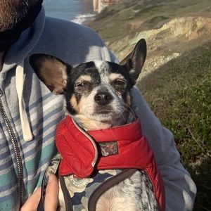 Meet your Posher, Ive